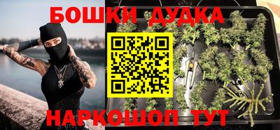стаф Будённовск